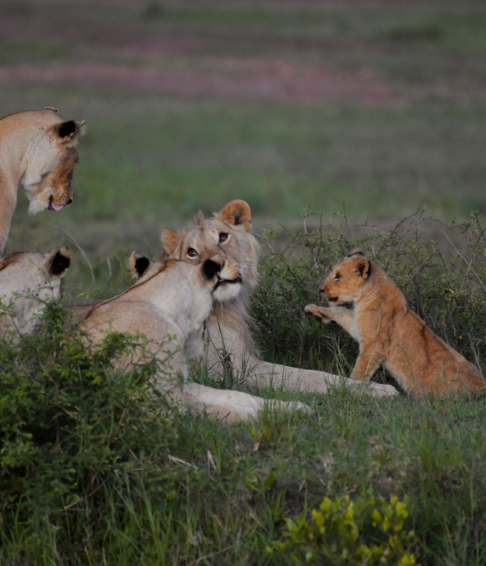 Explorando Kenya 6