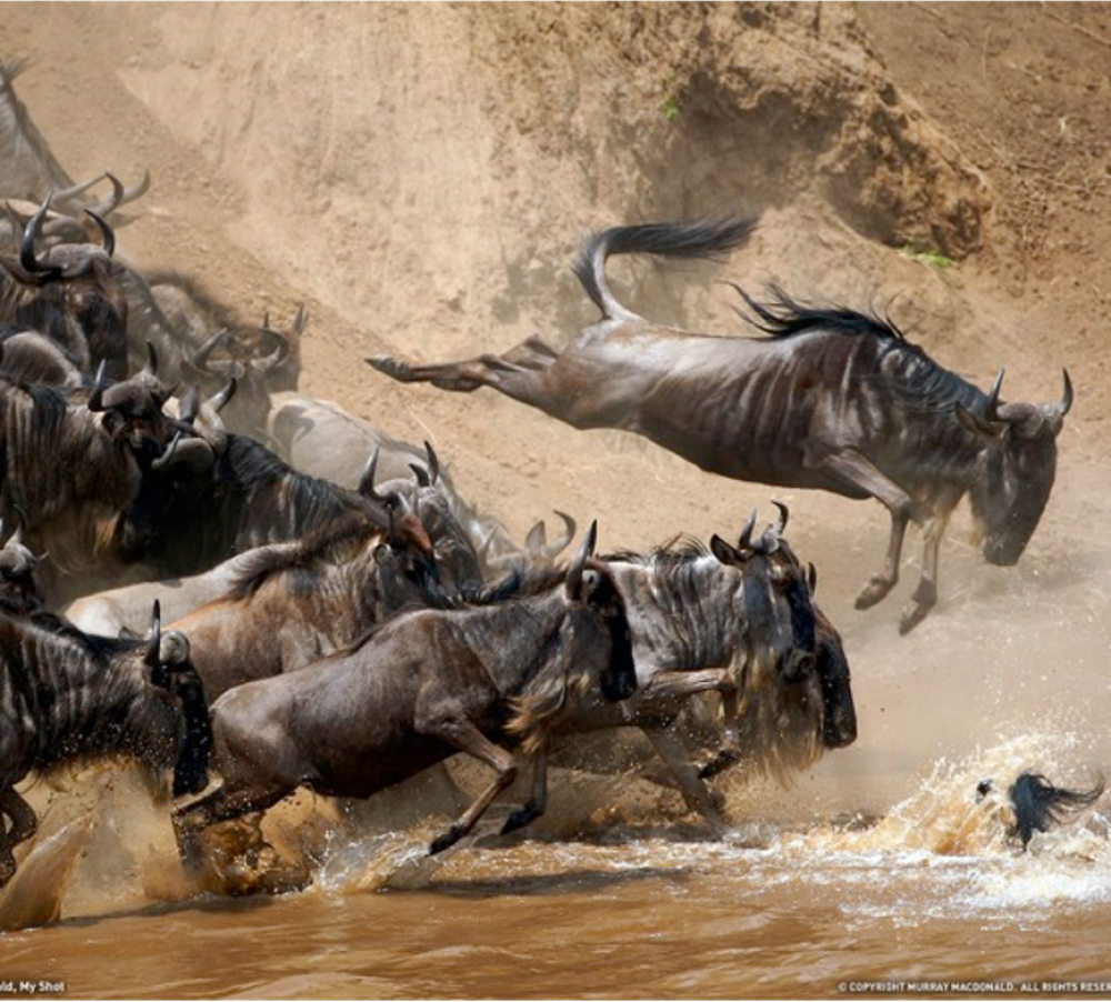 Awesome Kenya 1