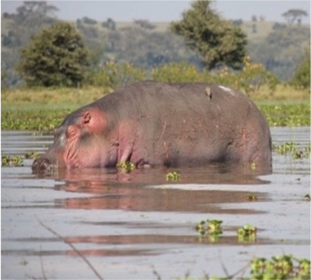 Exploring Kenya 3