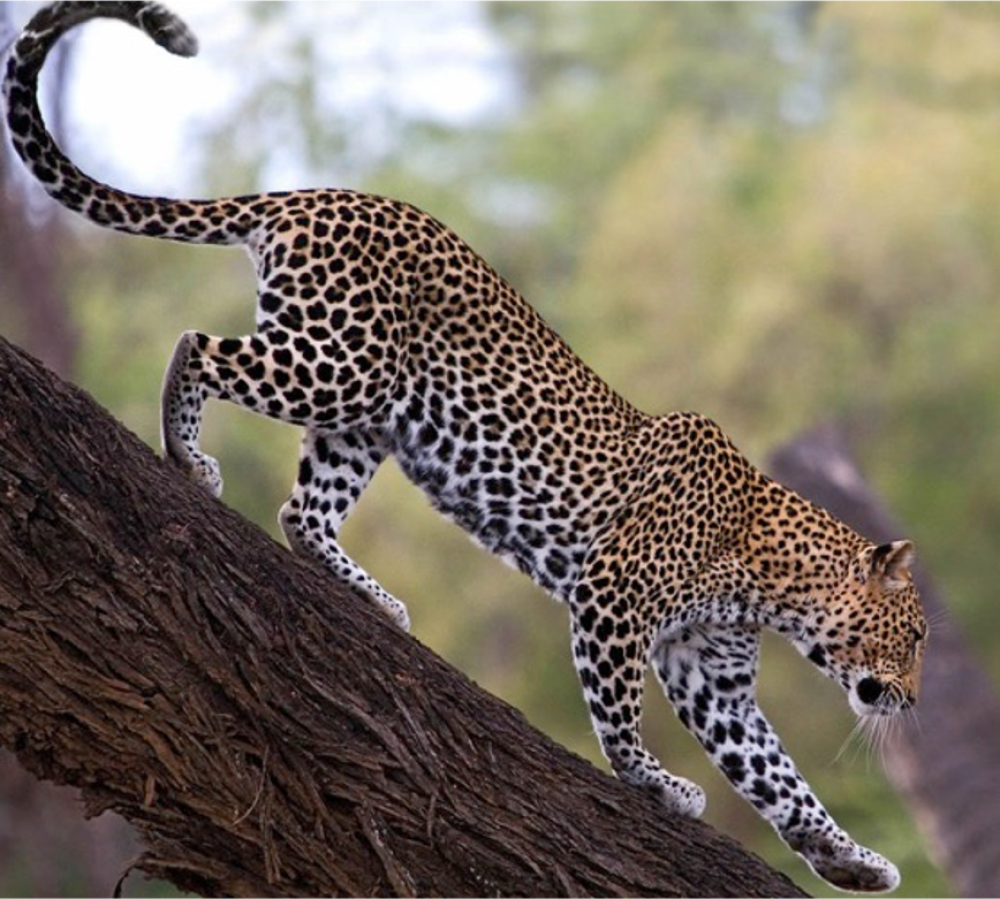 Exploring Kenya 6