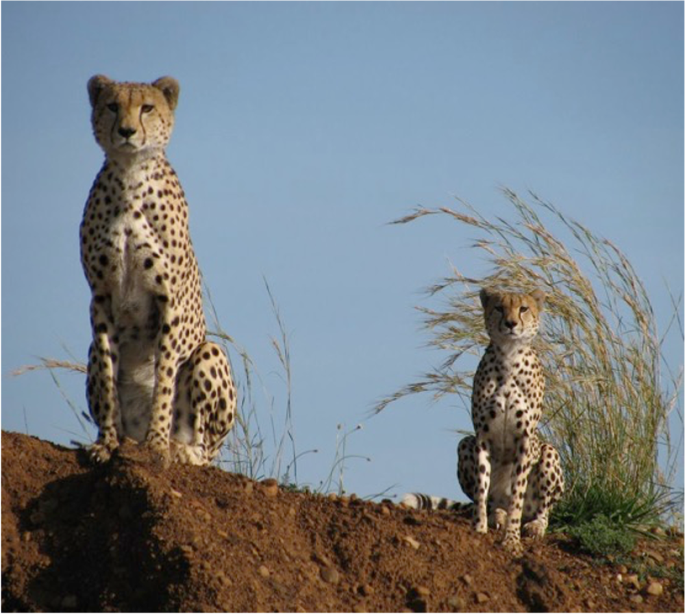 Exploring Kenya 7