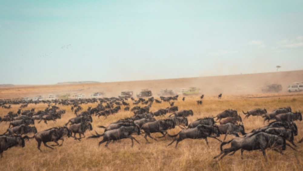8 Day Safari with Mombasa Extension 1