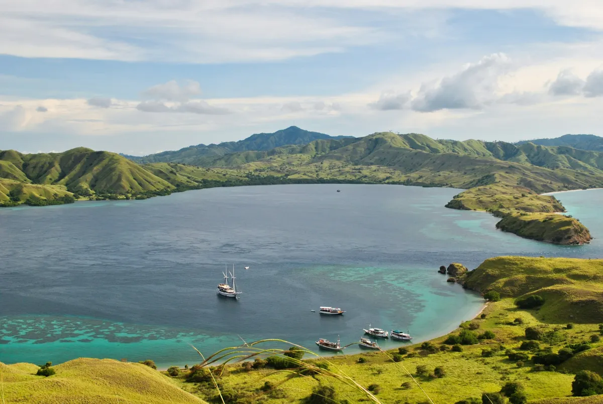 The Essential Komodo