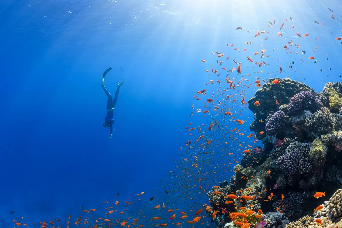 Blue Water Diving